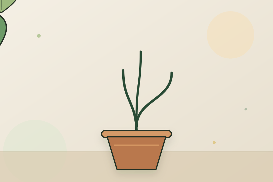 Philodendron houseplant