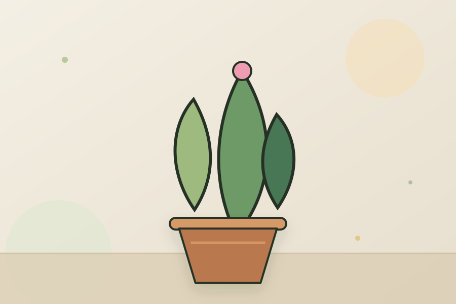 Christmas Cactus houseplant