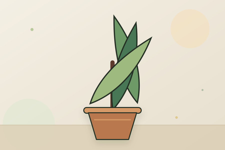 Yucca houseplant leaves