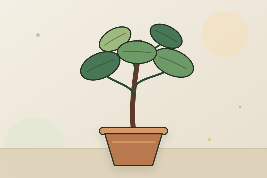 Schefflera houseplant leaves