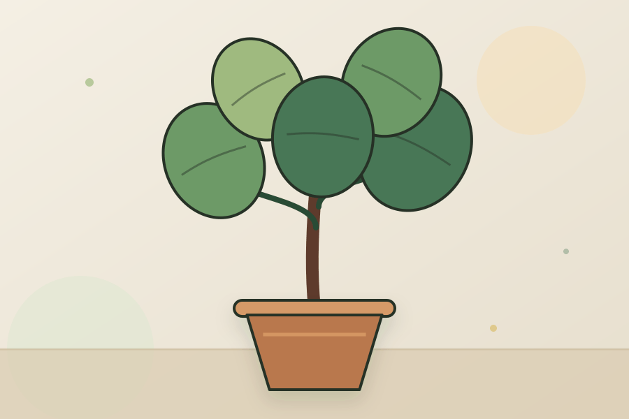 Fiddle Leaf Fig houseplant