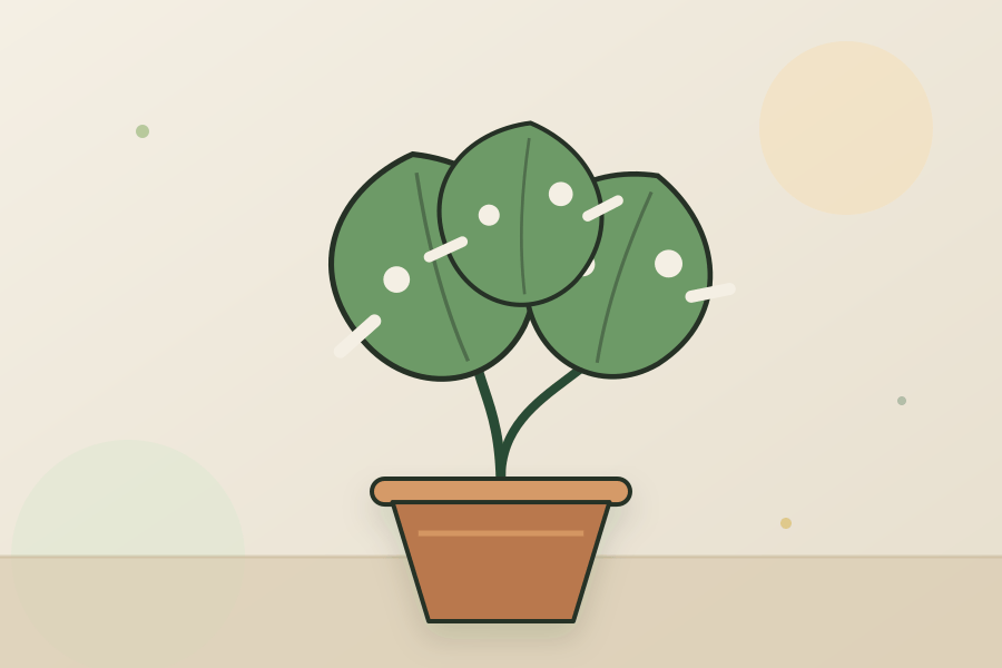 Monstera houseplant leaves