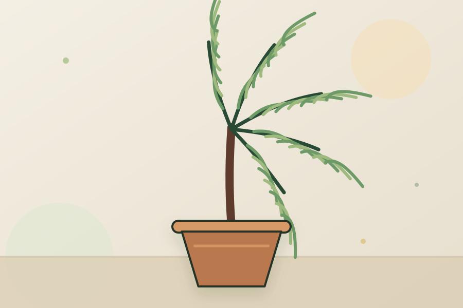 Parlor Palm houseplant