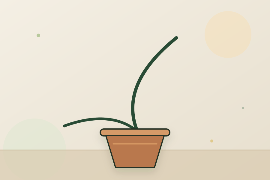Pothos houseplant leaves