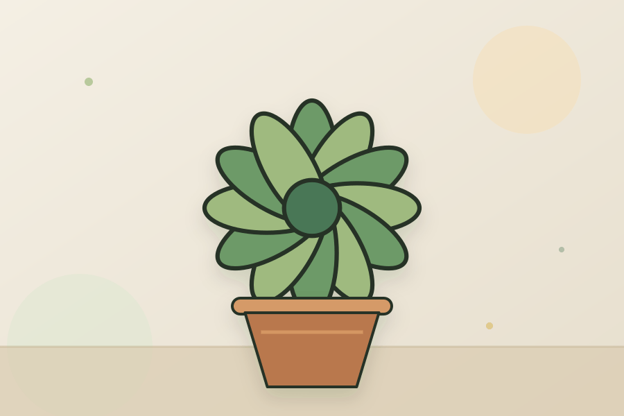 Succulents houseplant