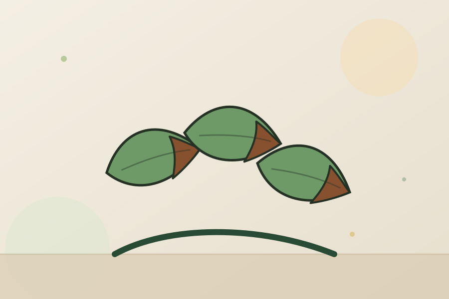 Brown Tips on Houseplants: What They Mean illustration